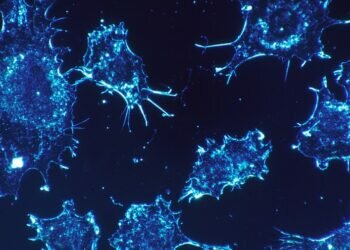 These things cause cancer, if you want to avoid cancer, stop using them.